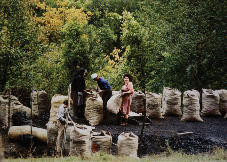 Mestieri del bosco