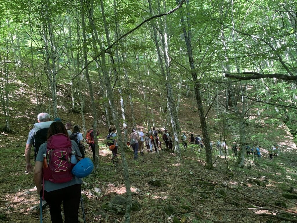 La filiera del legno, ovvero il bosco come risorsa sostenibile 2 IMG 0924