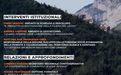 Il bosco come risorsa sostenibile. Riassunto degli interventi