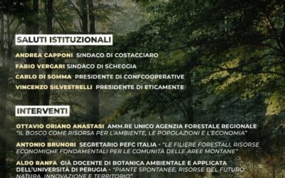 La filiera del legno tra risorsa, tutela e comunità: l’incontro di Costacciaro