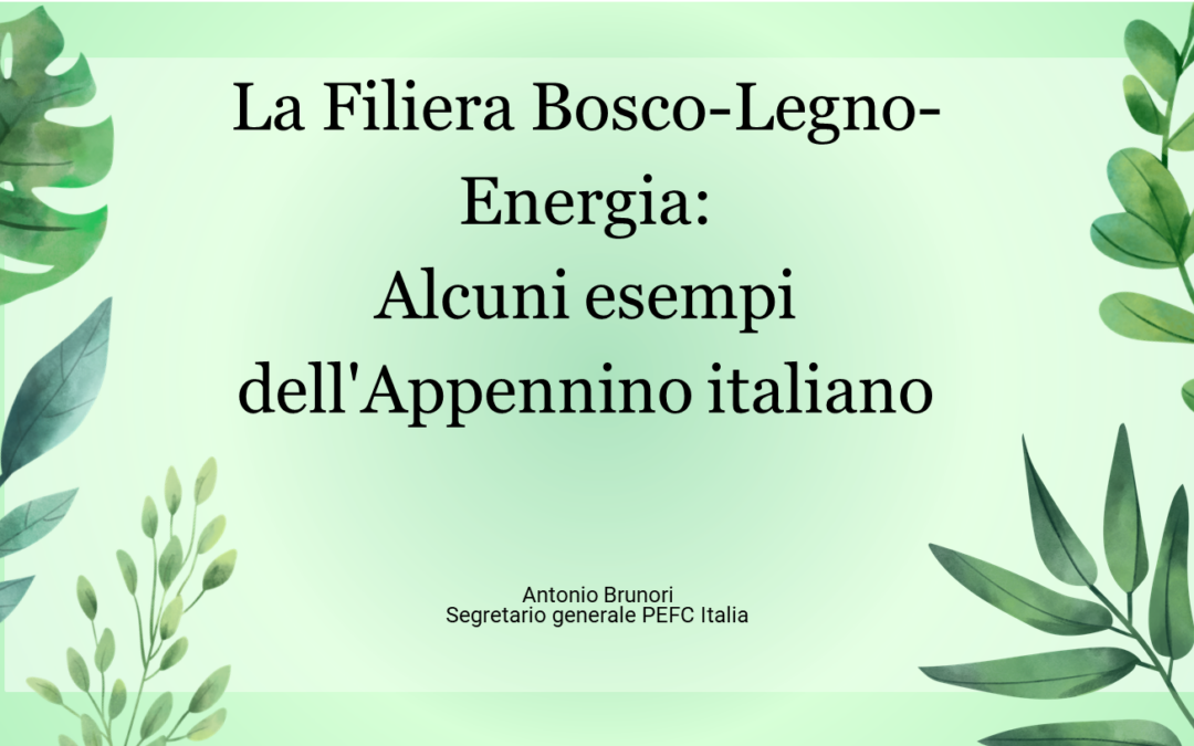 La filiera del legno: il bosco come risorsa sostenibile