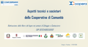 La filiera del legno: il bosco come risorsa sostenibile Lorenzo Mariani 1 MarianiImmagine
